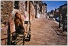 Venise